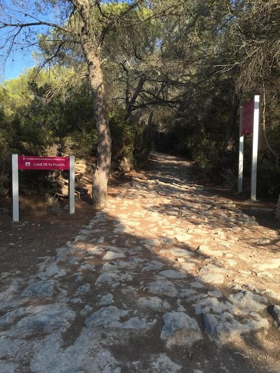 La Mundial Formentera Daire Es Pujols Dış mekan fotoğraf